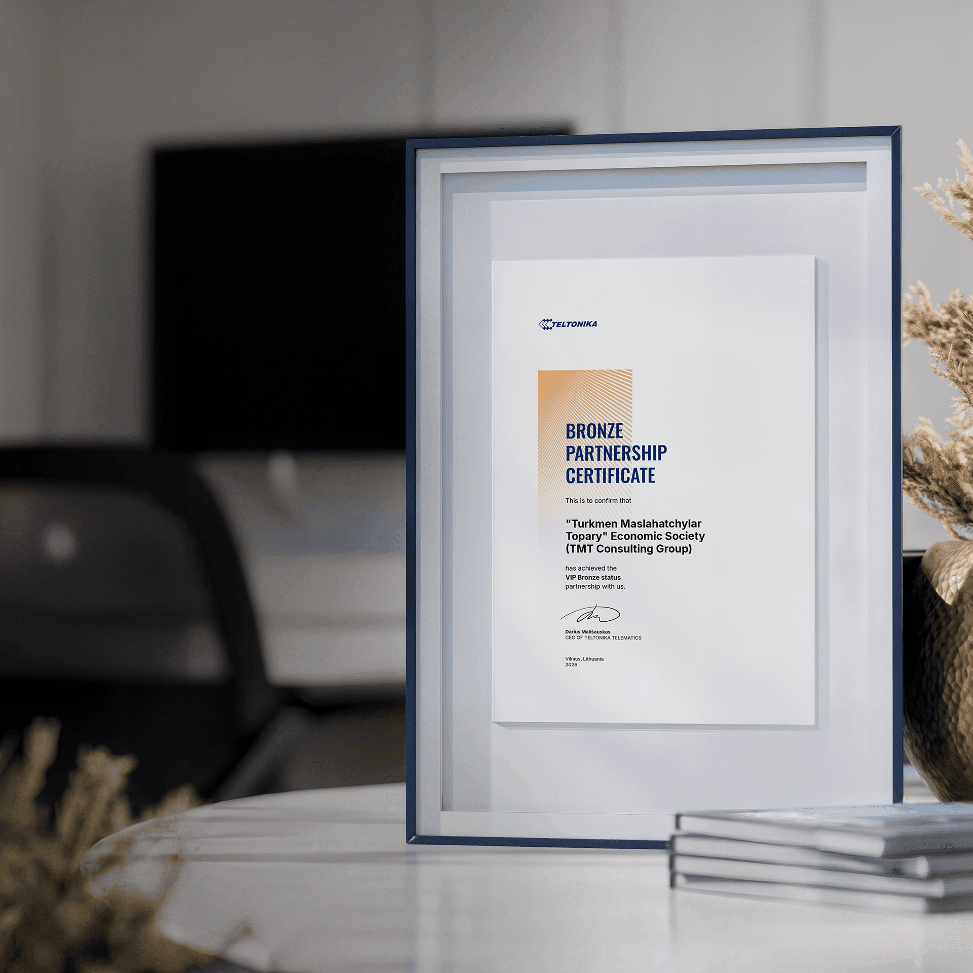 TMT Consulting Group Achieves BRONZE Partner Status with Teltonika