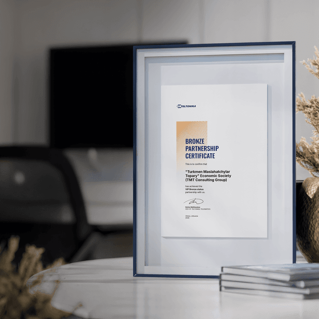 TMT Consulting Group Achieves BRONZE Partner Status with Teltonika