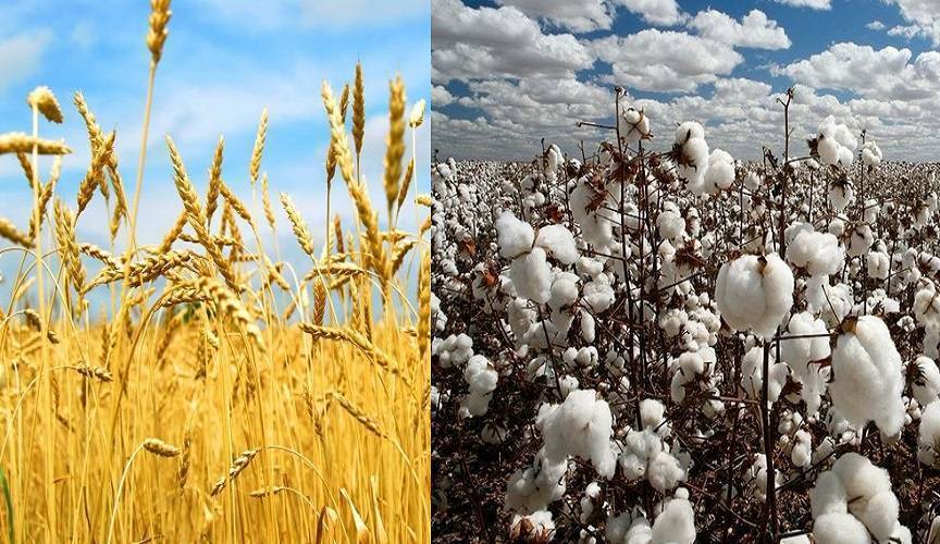 В Туркменистане усиливают внимания к сельскому хозяйству