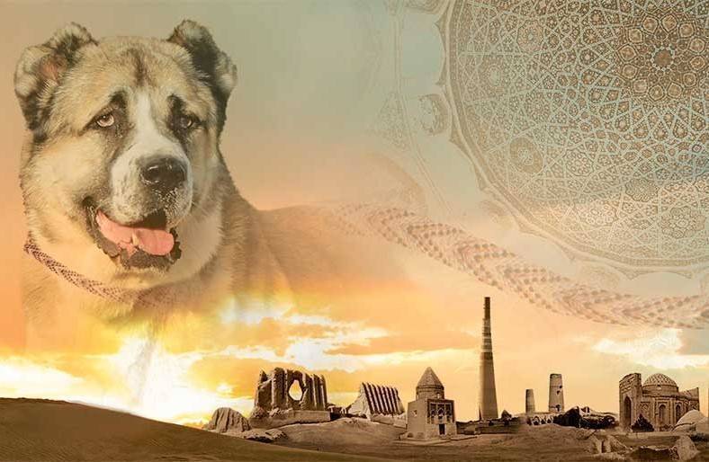 Туркменский алабай признан ЮНЕСКО